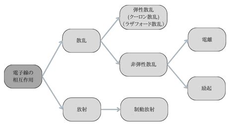 ラジエーション サプリ